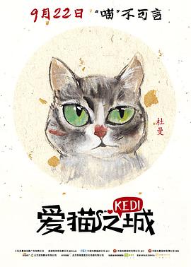 爱猫之城}